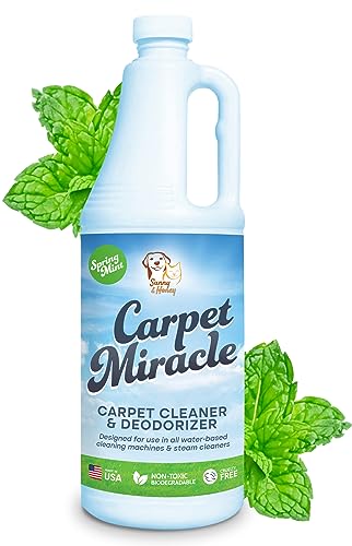 Carpet Miracle