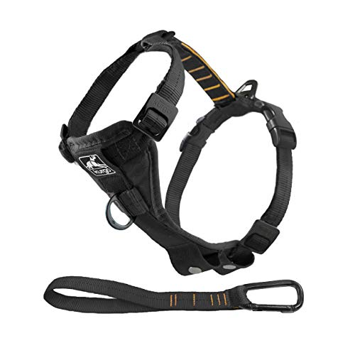 Kurgo Dog Harness