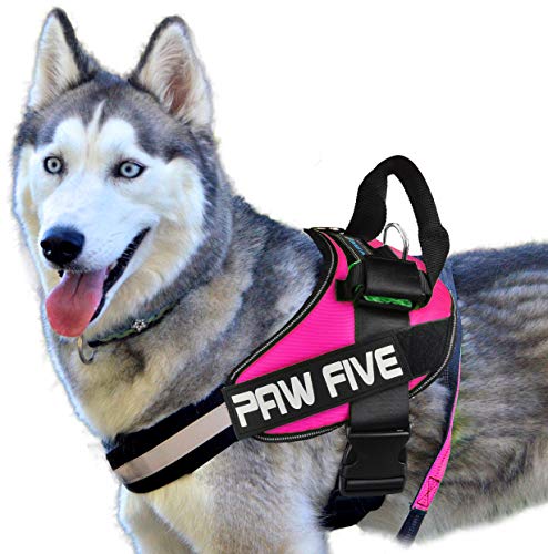 Paw Five CORE-1 Reflective Dog Harness
