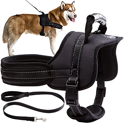 Mihachi Dog Harness