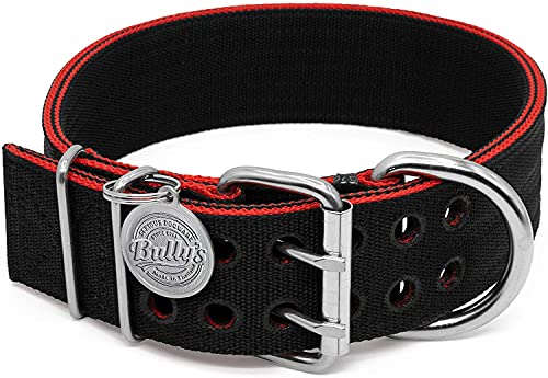 Pitbull Collar