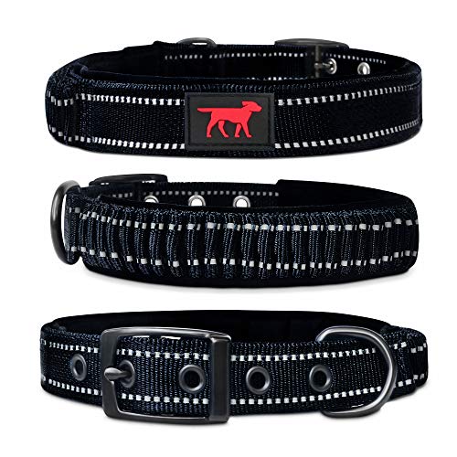 Heavy Duty Dog Collar With Handle
