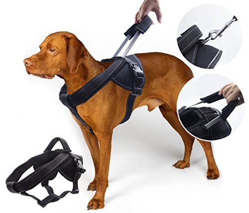 YOGADOG - Heavy Duty Dog Harness